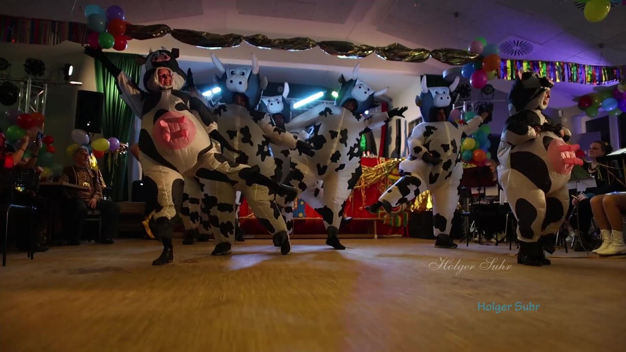 Bild 7 - Videos